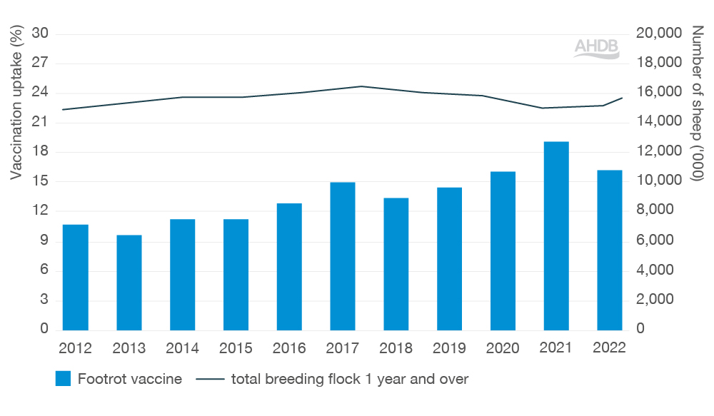 Graph illustrating cattle vaccination against footrot since 2011